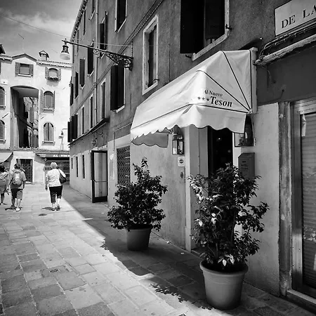 Nuovo Teson Venecia