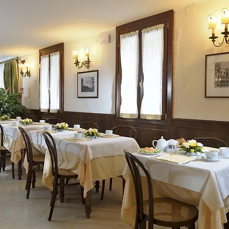Nuovo Teson Venecia