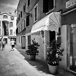Nuovo Teson Venice